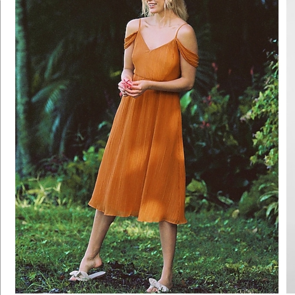 Express Midi Dress